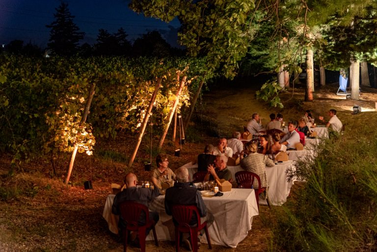 esperienze in vigna - degustazioni in cantina